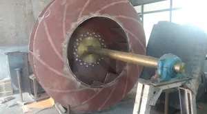 281