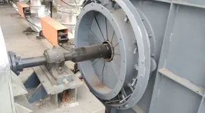 281
