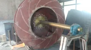 281